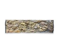 ZooPaul Paroi arrière 3D pour aquarium - 200 x 60 cm - Fond de terrarium - Pierre - Structure racine - Amazonas