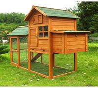 Zoopplier Poulailler résistant aux intempéries XXL Grande caille Collosus en Bois Massif Convient pour 2 à 4 Poules et 4 Poulets également comme Canard