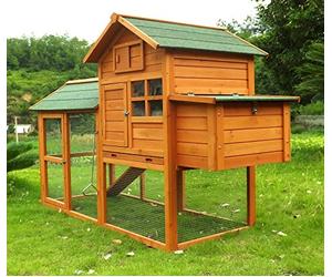 Zoopplier Poulailler résistant aux intempéries XXL Grande caille Collosus en Bois Massif Convient pour 2 à 4 Poules et 4 Poulets également comme Canard