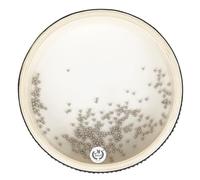 ZoraYorce Billow Drum Tambour océan avec billes en acier, tambour transparent pour l'éducation de la petite enfance