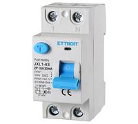 ZOREI Interrupteur différentiel pur, 2P 2 pôles 30 mA 220 V, sauvetage différentiel, occupe 2 modules DIN (2P 16 A)