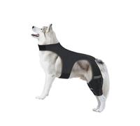 ZORESCOLEO Genouillère flexible pour pattes de chien avec sangles réglables pour la prévention des blessures articulaires