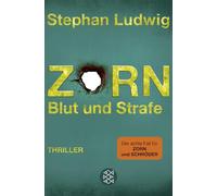 Zorn 8 - Blut und Strafe: Thriller