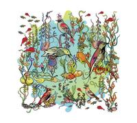 Zorn John - Dreamers The Gentle Side [Import]