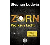Zorn - Wo kein Licht: Band 3