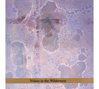Zorn's Masada - Voices In The Wilderness