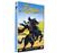 Zorro G