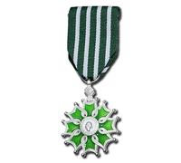ZoTuoART Ordre des Arts et des Lettres - Le Chevalier de l'Ordre des Arts et Lettres en France - Médaille Commandeur Officier Chevalier Fantaisie Badge Argent
