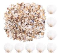 Zourglow 1000 Pièces Mini Coquillages Mélangés, 10 Variété Coquillages Mixtes et 8 Pièces Naturelle Saint-Jacques, Coquillage Decoration pour D'aquarium, Mariage, Plage Thème Fête, Bricolage