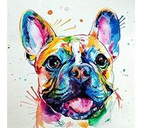 ZOZOIN Nouveau Peinture Par Numéros Pour Adultes Enfants - Bouledogue Français Coloré - Kits De Peinture Numérique DIY Par Numéros Sur Toile 30x40cm