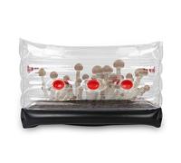 ZPSHYD Kit Champignons Gonflable,Grand Kit Monotub Gonflable Carré Boîte de Ventilation pour la Culture des Champignons pour Culture à la Maison