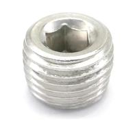 ZPTPNGWH 5PCS 1/4" NPT Male SS304 Stainless Steel End Internal Hex Head Socket Pipe Fitting