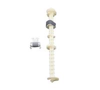 ZQEwqmBNE Ensemble de Rouleau d'alimentation de Rouleau de ramassage de Papier Compatible avec l'imprimante L800 L805 L850 P50 T50 R250 R270 R290 R280 R330 R390 L801 RX590(1 Set)