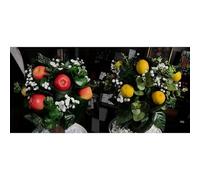 ZQION Grace The Magical Plant Magic Tree Appear Blooming Orange Tree Magic Tricks Professional Stage Illusion Gimmick Magician Props