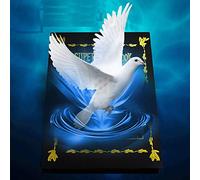 ZQION Metamopho Dove de Book Appeariong Trucs Magiques Scène Illusion Magicien Props Mentalisme Magie Accessoires Gimmick