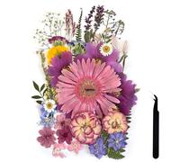 ZQmino Grandes fleurs séchées pressées A4 pour résine - Fleurs violettes pressées - Feuilles naturelles sèches pour la fabrication de gâteaux et de bougies - Étuis de téléphone, scrapbooking, loisirs