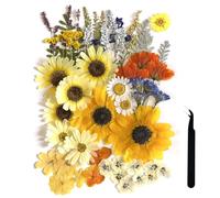 ZQmino Grandes fleurs séchées pressées A4 pour résine - Tournesol, véritables fleurs et feuilles naturelles sèches pour moule en résine, gâteaux, bougies, étuis de téléphone, scrapbooking, loisirs