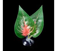 Zqxnt Décoration pour aquariums Bettas - Hamac à feuilles - Lit de fraye - Simulation d'aquariums - Plante Betta - Lit de feuilles de poisson