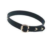 Zqxnt Style français large ceinture de taille pour femmes amincissant en cuir PU Cincher élégant corset bande féminine accessoire de mode taille pour robes, Noir , Silver buckle