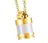 Zqxnt Urne funéraire funéraire pour animal de compagnie - Bijoux de crémation pour animaux de compagnie - Collier créatif pour cendres de crémation pour animal domestique - Collier porte-cendres en