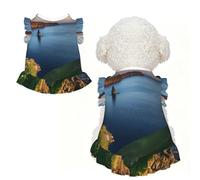 ZQYTGFDC Ireland Outdoors County Clare The Cliffs L Les robes de petite et moyenne taille pour chien et chat sont adaptées pour les promenades, les vacances, les fêtes. Noir