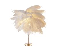 ZR98US Coussin d'Œil d'aigle avec Chaîne Éclairage, Body en Acier Argenté, Lit, Lumière Table de Chevet, Baignoire Nuit Adaptable la Salle à Manger, Chambre d'Écolier, Bureau (Blanc)