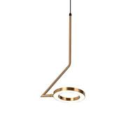 ZR98US Nordic Luxury Chandelier Creative Pendent Lig Heig Adjustable Minimalist Line Circle Hanging Lamp for Dining Room Bedroom Bedside Coffee