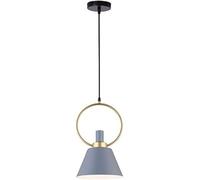ZR98US Pendant Lights, Wrought Iron lampshades, Industrial Decorations, Chandelier