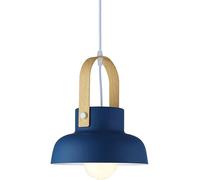 ZR98US Personality Adjustable Single Head Chandeliers Personalized Small Hanging Decoration Ceiling Metal Pendant Light, Chandelier