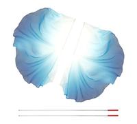 ZRHWSPD Drapeaux de Culte Lot de 2 Drapeaux de Danse et d'adoration avec Poteau télescopique, Demi-Cercle, voiles de Soie for Danse du Ventre, Drapeaux d'extérieur en Soie(White and Blue)