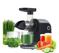 ZRQSMCX Extracteur de jus Professionnel à vis sans Fin 80 TR/Min, extracteur de jus à Mastication Lente, extracteur de jus à Basse Vitesse pour légumes et Fruits, Machine à jus à Pression à Froid