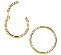 ZS Lot de 2 piercings ASTM F136 en titane 6/7/8/9/10/12/14 mm - Pour cartilage, tragus, hélix, boucles d'oreilles Hoop - 20 G, 18 G, 16 g - Anneaux de lèvre, nez, septum conch, Innendurchmesser: 6mm,