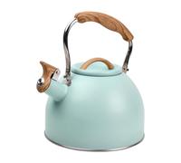 Zsanhua Bouilloire sifflante en acier inoxydable pour cuisinière à gaz, induction et plaques électriques 3 l