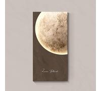 ZSCNYHMT Peinture Murale LED 3D, Peinture Murale 3D en Grès Illuminée, avec Lumières LED, pour La Maison Ou Le Bureau, Tableau Susp(Brown A,23.6/47.3in)