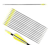 ZSHJG 12pcs Flèches en Fibre de Verre 31 Pouces Flèches d'entraînement de Cible Spine 900 Flèches de Chasse avec Flèche Carquois pour 35 Lbs Arc Recourbé Arc Long (Jaune)