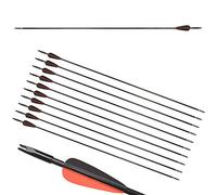 ZSHJG 12pcs Flèches en Fibre de Verre 31 Pouces Flèches d'entraînement de Cible Spine 900 Flèches de Chasse avec Flèche Carquois pour 35 Lbs Arc Recourbé Arc Long (Noir + Rouge)