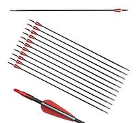 ZSHJG 12pcs Flèches en Fibre de Verre 31 Pouces Flèches d'entraînement de Cible Spine 900 Flèches de Chasse avec Flèche Carquois pour 35 Lbs Arc Recourbé Arc Long (Rouge)