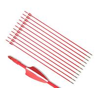 ZSHJG 12pcs Flèches en Fibre de Verre 31 Pouces Flèches d'entraînement de Cible Spine 900 Flèches de Chasse avec Flèche Carquois pour 35 Lbs Arc Recourbé Arc Long (Rouge 2)