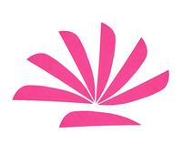 ZSHJG 50pcs Plume de Flèche Empennage de Flèche 3 Pouces Fletches Naturelles Aile Droite pour Les Flèches de Bricolage Arbalète Flèches de Carbone (Rose)