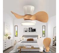 ZSJSM Ventilateur de Plafond Blanc avec lumières DIMMables réversibles réversibles Moteur CC à 6 Vitesses Timer télécommande idéal pour la Chambre et Le Salon Petit Ventilateur de Plafond Moderne