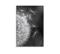 ZSLYMX Poster de paysage noir et blanc Art Pissenlit Marvel Poster décoratif sur toile affiches murales pour décoration de chambre à coucher et impression d'art famille moderne 40 x 60 cm