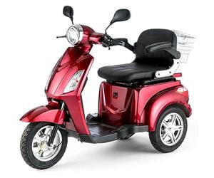 ZT15 Tricycle électrique mobilité/loisirs, jusqu'à 25 km/h, 48 V, 80 Ah, 500 W