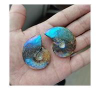 ZTBH Cristal de méditation Naturel 10 pcs 50 mm de Couleur de Couleur fossile Naturelle, la décoration de la Maison de Pierre de Nautil chrysanthème Pierre de Cristal (Taille : 5pcs)