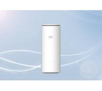 ZTE Z1320 routeur sans fil Gigabit Ethernet Bi-bande (2,4 GHz / 5 GHz) Blanc