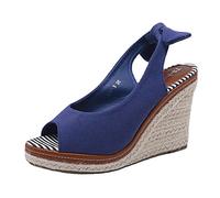 ZTFYKLIN Sandales Femme Été Confortable Chaussure 2026 Printemps/Été Nouveau Romain Talon Incliné Pour Femmes Bouche De Poisson Sangle Arrière Chaussures Commerce Extérieur Grandes (Blue, 39)