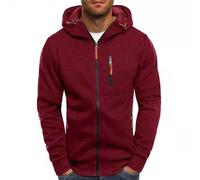 ZTFYKLIN Sweat à Capuche Zipper Homme Hood Pull Couleur Unie Légers Sport Veste Manches Longues DéContracté Sweatshirt Chaud Automne Hiver Sportswear Confortable avec Poche VêTements Hommes Classique