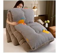 ZTGL C,150x200cm(2.5kg), Couette Sherpa Hiver, Courtepointes Chaude Duveteuse, Noyau de Consolateur Matelassée Réversible, Couverture en Velours d'agneau Épaissir, Édredon en Peluche
