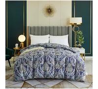ZTGL Couette 220x240 Hiver Tres Chaude Duvet Plume et d'oie, 120 Fils Coton de Luxe Haute Densité, Couettes Gonflante 2 Personne, Edredon Naturelles 4 Saisons Down Duvet,A5,160x210cm/2.5kg