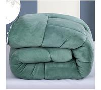 ZTGL Couette Chaude Sherpa, Couette éPaisse en Hiver pour lit 2 Personnes, Sensation Laine et Cosy, Couverture Moelleuse et Douillette, Double Face Chaude Automne et Hiver,C,180x220m(3kg)