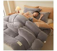 ZTGL Couette d'hiver éPaissie en Coton, Chaude Gonflant éPaisse Édredon, Couette en Velours épais et Chaude, Hiver Couverture 2 Personne de Peluche Anti-Allergique Double Face B,150×200cm/2.5kg